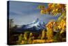 Mt. Hood Parkdale-Ike Leahy-Stretched Canvas