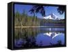 Mt. Hood Reflected in Frog Lake, Oregon, USA-Janis Miglavs-Framed Stretched Canvas