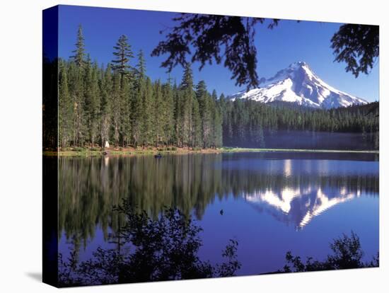 Mt. Hood Reflected in Frog Lake, Oregon, USA-Janis Miglavs-Stretched Canvas