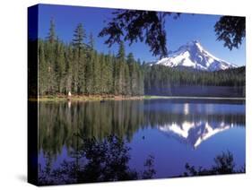 Mt. Hood Reflected in Frog Lake, Oregon, USA-Janis Miglavs-Stretched Canvas