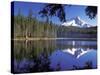 Mt. Hood Reflected in Frog Lake, Oregon, USA-Janis Miglavs-Stretched Canvas