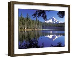 Mt. Hood Reflected in Frog Lake, Oregon, USA-Janis Miglavs-Framed Premium Photographic Print