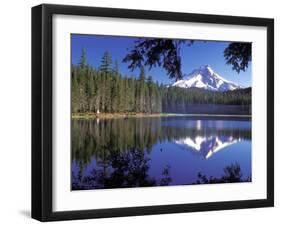 Mt. Hood Reflected in Frog Lake, Oregon, USA-Janis Miglavs-Framed Premium Photographic Print