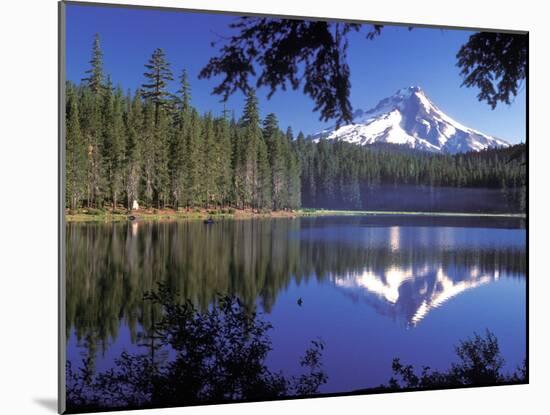 Mt. Hood Reflected in Frog Lake, Oregon, USA-Janis Miglavs-Mounted Premium Photographic Print