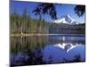 Mt. Hood Reflected in Frog Lake, Oregon, USA-Janis Miglavs-Mounted Premium Photographic Print
