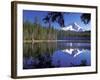 Mt. Hood Reflected in Frog Lake, Oregon, USA-Janis Miglavs-Framed Photographic Print