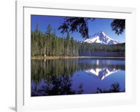 Mt. Hood Reflected in Frog Lake, Oregon, USA-Janis Miglavs-Framed Photographic Print