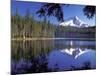 Mt. Hood Reflected in Frog Lake, Oregon, USA-Janis Miglavs-Mounted Photographic Print