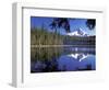 Mt. Hood Reflected in Frog Lake, Oregon, USA-Janis Miglavs-Framed Photographic Print