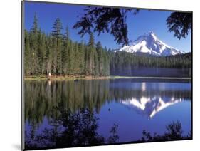 Mt. Hood Reflected in Frog Lake, Oregon, USA-Janis Miglavs-Mounted Photographic Print