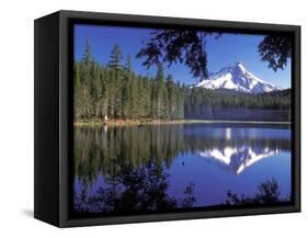 Mt. Hood Reflected in Frog Lake, Oregon, USA-Janis Miglavs-Framed Stretched Canvas