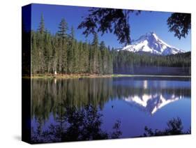 Mt. Hood Reflected in Frog Lake, Oregon, USA-Janis Miglavs-Stretched Canvas