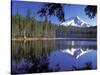 Mt. Hood Reflected in Frog Lake, Oregon, USA-Janis Miglavs-Stretched Canvas