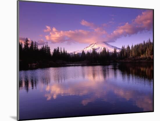 Mt. Hood Reflected in Mirror Lake, Oregon Cascades, USA-Janis Miglavs-Mounted Premium Photographic Print