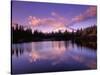 Mt. Hood Reflected in Mirror Lake, Oregon Cascades, USA-Janis Miglavs-Stretched Canvas