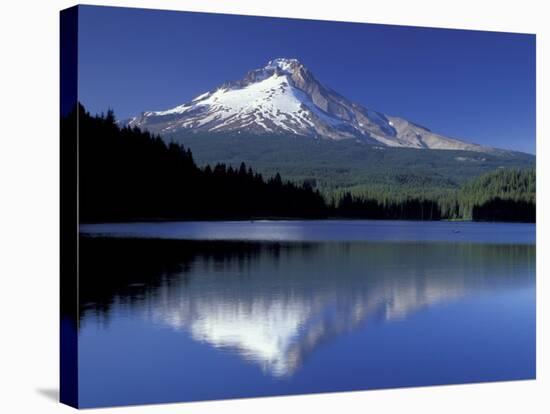 Mt. Hood Reflected in Trillium Lake, Oregon, USA-Jamie & Judy Wild-Stretched Canvas