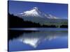 Mt. Hood Reflected in Trillium Lake, Oregon, USA-Jamie & Judy Wild-Stretched Canvas