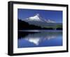 Mt. Hood Reflected in Trillium Lake, Oregon, USA-Jamie & Judy Wild-Framed Premium Photographic Print