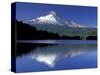 Mt. Hood Reflected in Trillium Lake, Oregon, USA-Jamie & Judy Wild-Stretched Canvas