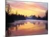 Mt. Hood Reflection at Sunrise-Steve Terrill-Mounted Photographic Print