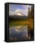 Mt. Hood Reflection-Steve Terrill-Framed Stretched Canvas