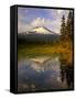 Mt. Hood Reflection-Steve Terrill-Framed Stretched Canvas