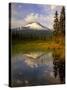 Mt. Hood Reflection-Steve Terrill-Stretched Canvas