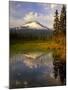 Mt. Hood Reflection-Steve Terrill-Mounted Photographic Print