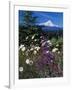 Mt. Hood V-Ike Leahy-Framed Photographic Print