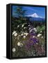 Mt. Hood V-Ike Leahy-Framed Stretched Canvas