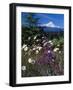 Mt. Hood V-Ike Leahy-Framed Photographic Print