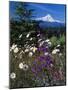 Mt. Hood V-Ike Leahy-Mounted Photographic Print