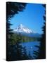 Mt. Hood VI-Ike Leahy-Stretched Canvas