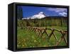 Mt. Hood Viewed from Summit Meadows-Steve Terrill-Framed Stretched Canvas