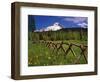 Mt. Hood Viewed from Summit Meadows-Steve Terrill-Framed Photographic Print