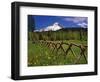 Mt. Hood Viewed from Summit Meadows-Steve Terrill-Framed Photographic Print