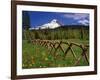 Mt. Hood Viewed from Summit Meadows-Steve Terrill-Framed Photographic Print