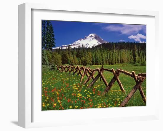 Mt. Hood Viewed from Summit Meadows-Steve Terrill-Framed Photographic Print