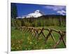 Mt. Hood Viewed from Summit Meadows-Steve Terrill-Framed Photographic Print