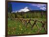 Mt. Hood Viewed from Summit Meadows-Steve Terrill-Framed Photographic Print