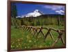 Mt. Hood Viewed from Summit Meadows-Steve Terrill-Framed Photographic Print