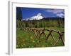 Mt. Hood Viewed from Summit Meadows-Steve Terrill-Framed Photographic Print