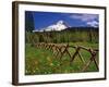 Mt. Hood Viewed from Summit Meadows-Steve Terrill-Framed Photographic Print