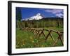 Mt. Hood Viewed from Summit Meadows-Steve Terrill-Framed Photographic Print