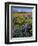 Mt. Hood with Wildflowers-Steve Terrill-Framed Photographic Print