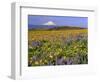 Mt. Hood with Wildflowers-Steve Terrill-Framed Photographic Print