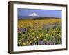 Mt. Hood with Wildflowers-Steve Terrill-Framed Photographic Print