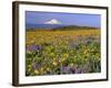 Mt. Hood with Wildflowers-Steve Terrill-Framed Photographic Print