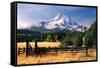 Mt. Hood X-Ike Leahy-Framed Stretched Canvas