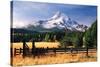 Mt. Hood X-Ike Leahy-Stretched Canvas